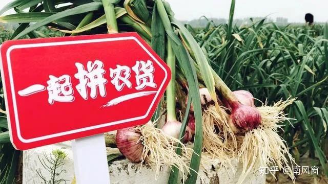 高效摘花生：怎样摘花生最快最干净 