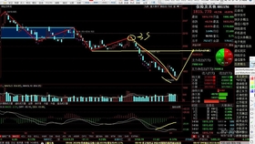 股票今日全方位诊断，最新消息、市场分析与趋势解读