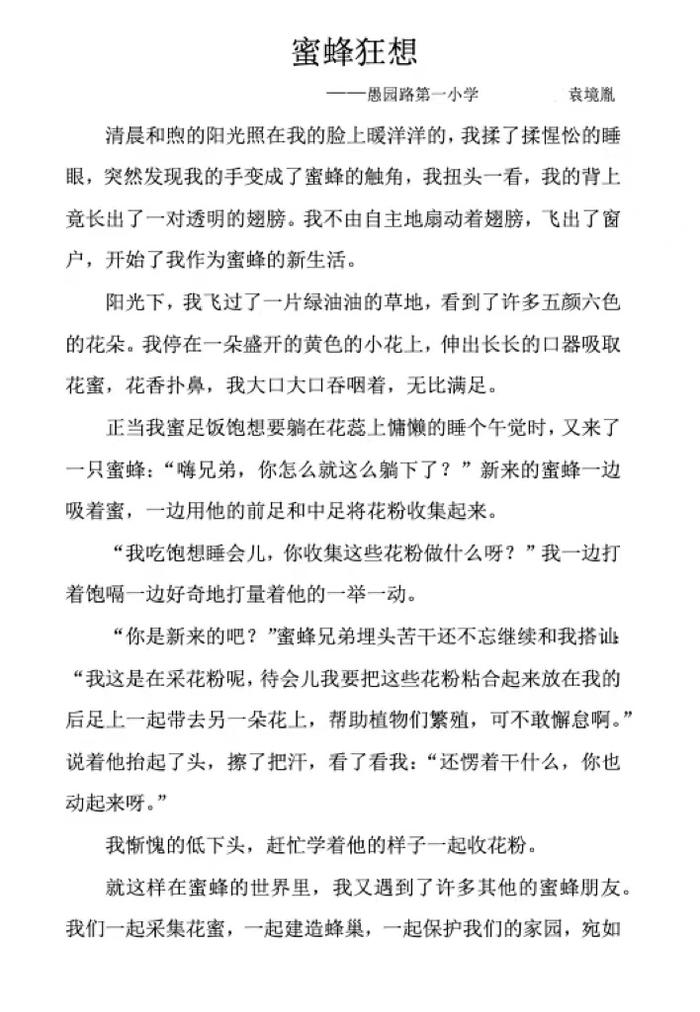 专题摄影提纲揭秘，城市与自然的和谐共生之美