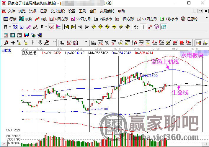 大鸟今日行情走势解析，市场动向全面解读与趋势预测
