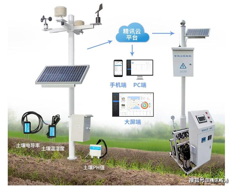 2025年1月29日 第6页