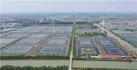 阳澄湖高效发展：苏州阳澄湖发展 