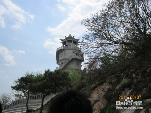 云龙井蛙 第3页