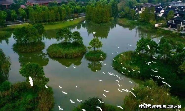 2025年1月30日 第12页