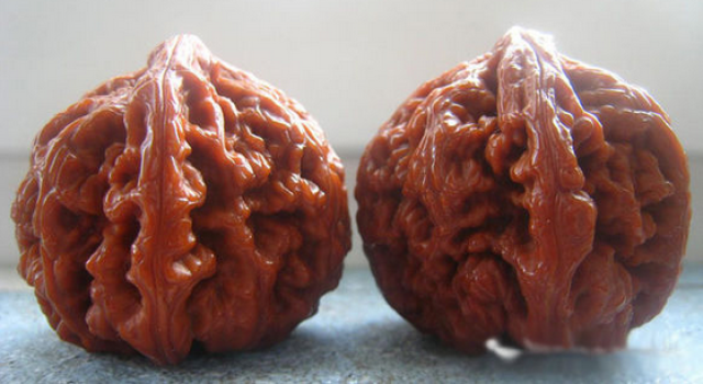 独家品种狮子头：品相好的狮子头 