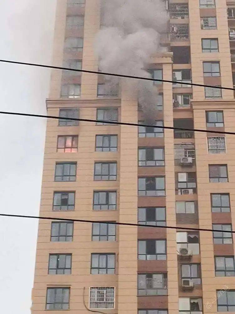 重庆涪陵突发山火扑灭：涪陵发生火灾 