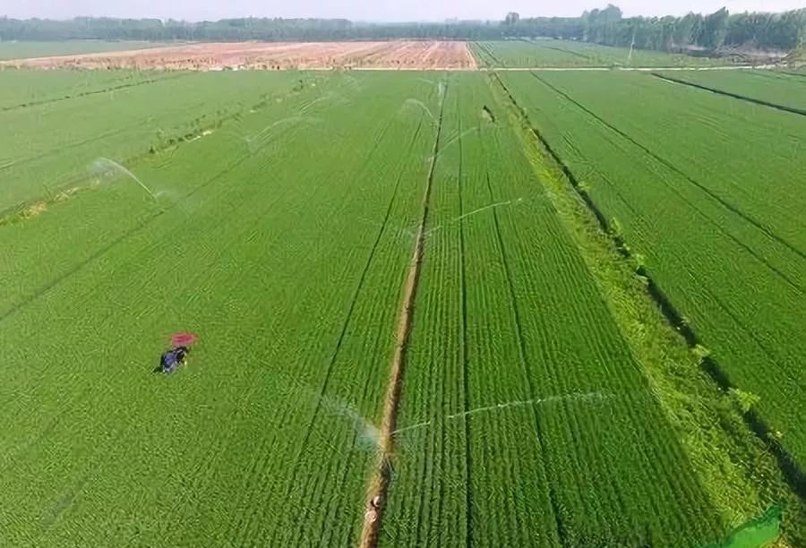 山地特色高效农业，探索与实践之路