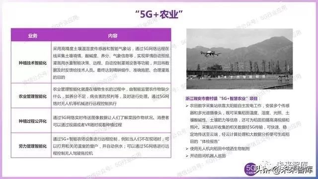 军会议题落实进展深度解析报告