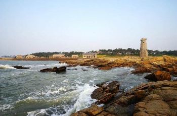 礁石专题二，海洋中的坚韧卫士风采