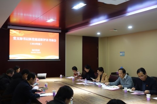 党委担当促落实：党委履职尽责担当作为方面存在的问题 