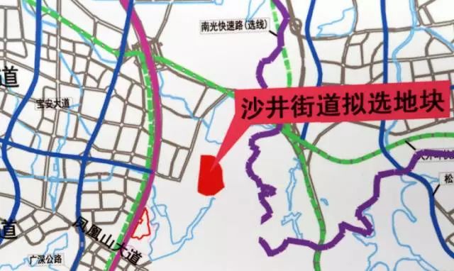 今日头条小镇重磅更新揭秘，最新动态一网打尽！