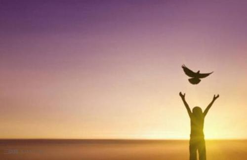 人要不断提高自己的名言:人应该不断提升自己