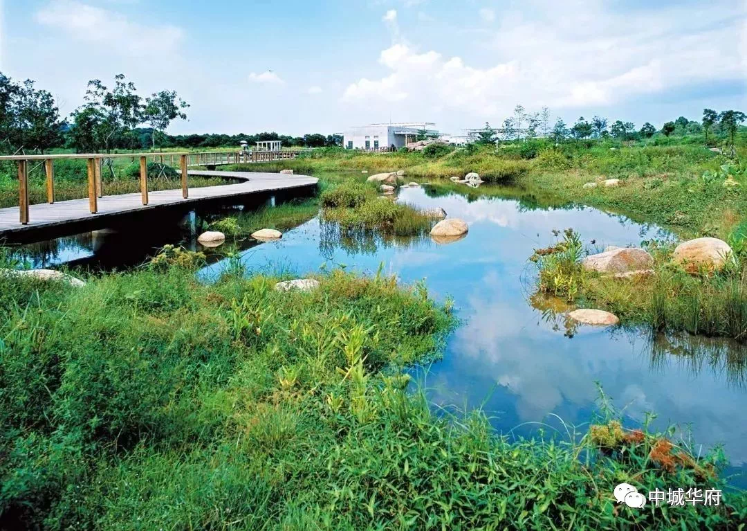 邓州湿地公园独家院子：邓州有哪些公园 