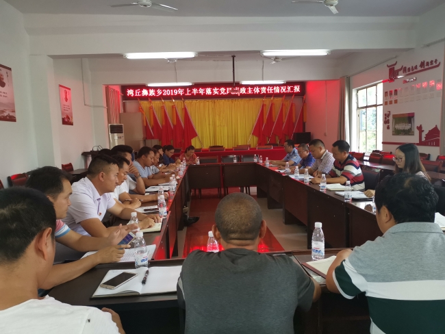 主体责任落实简要评价：主体责任落实情况汇报 