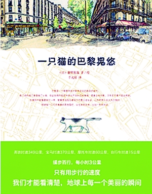 重生专题深度探索，腐书网的世界之旅