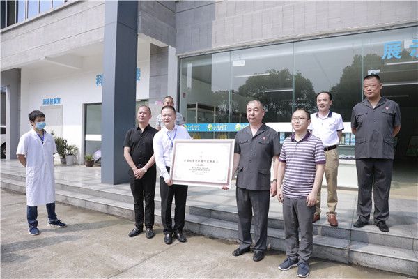 教育整顿宣传条幅法院，法治社会的关键基石，打造公正司法新篇章