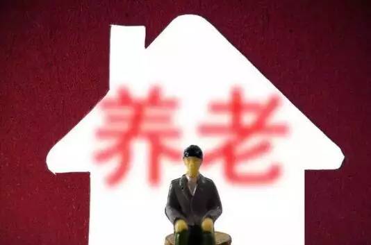 严抓落实与高效追求，卓越工作的双重保障保障策略