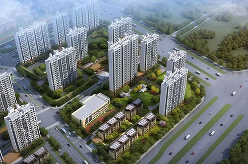 柏木今日价格走势揭秘，最新动态一网打尽