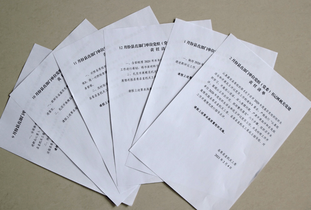 督导落实台账：督导调度台账 