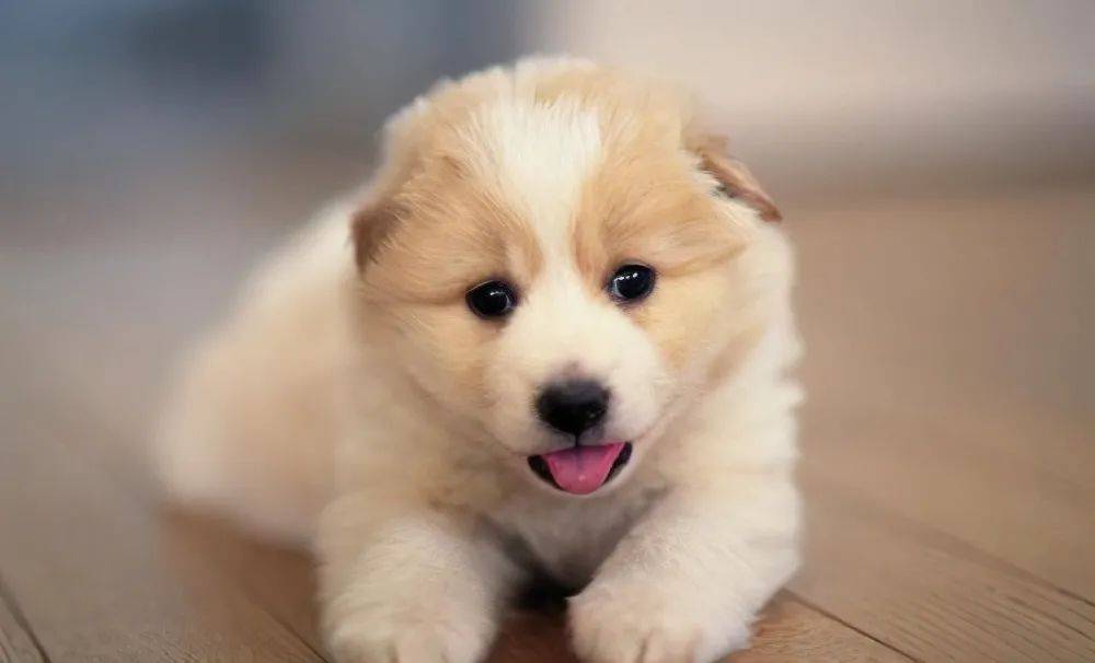 2025年2月 第171页