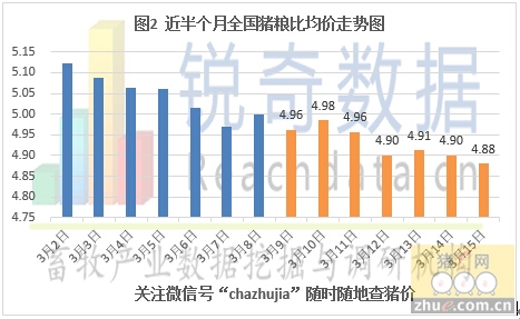 高效养猪秘诀，缩短周期，提升生产效益的关键策略
