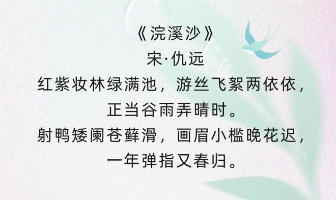 时光深处的诗意探寻，锦瑟忘流年