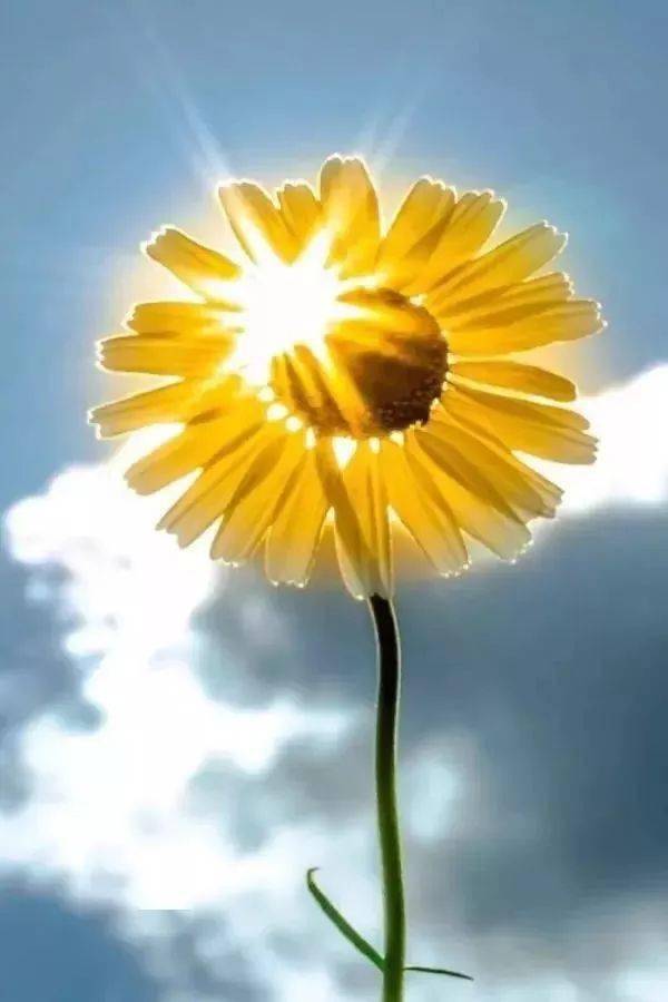 励志幽默早安语录，开启美好一天的动力源泉！