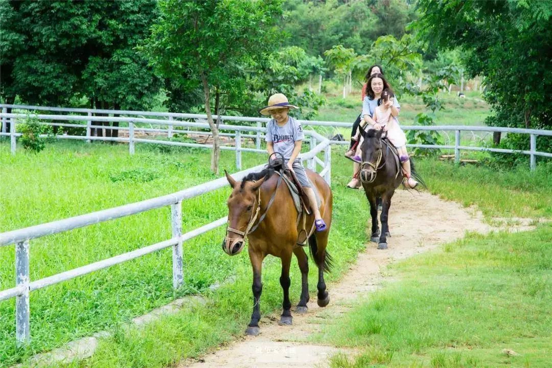 马背上的独特视角，旅行者的极致攻略