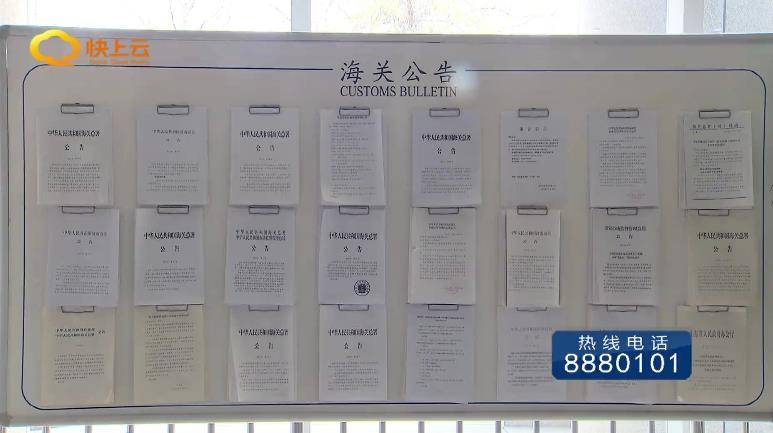 英文写作的规范性标准解析，提升文章质量的关键要素