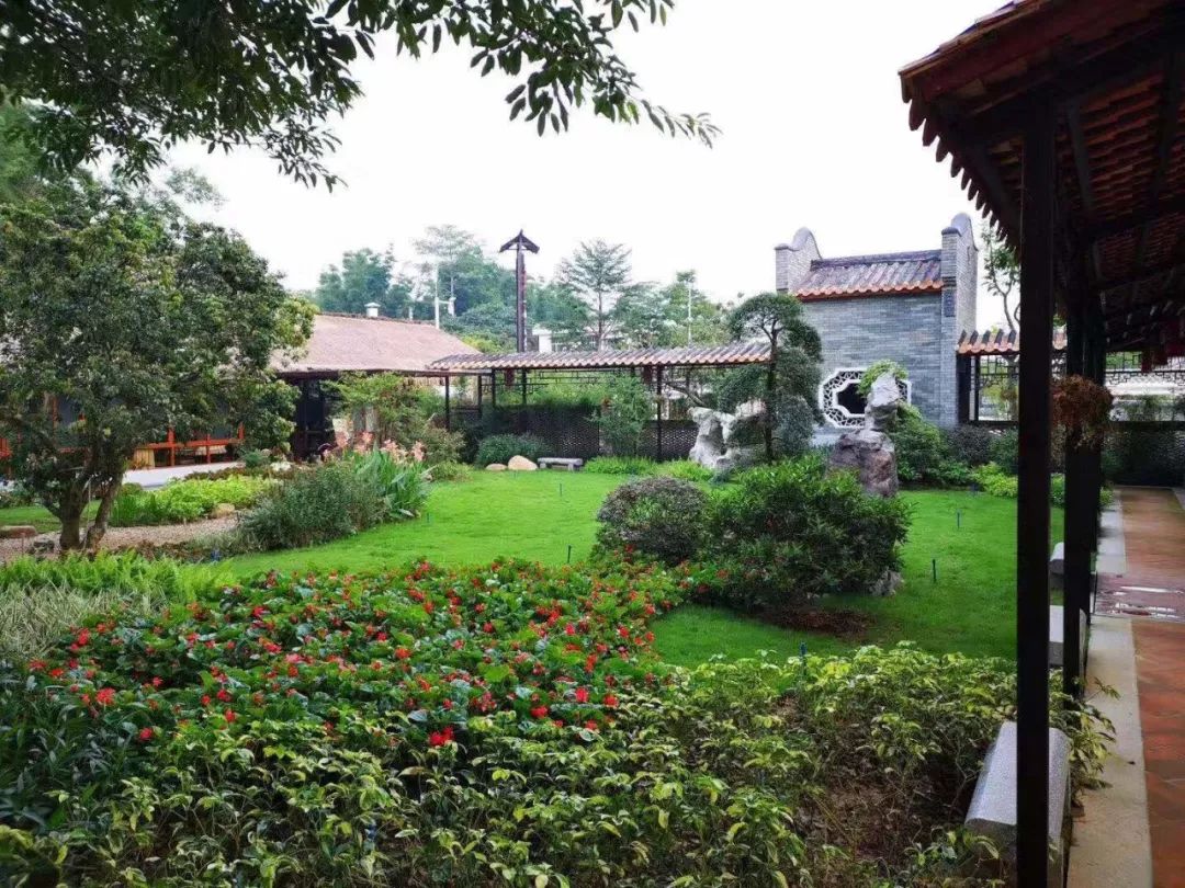 租从化独家小院，享受乡村生活的美好时光