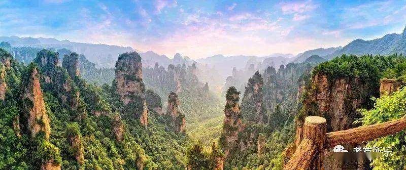 全球粮食巨头排名大揭秘，谁是世界粮食第一的公司？