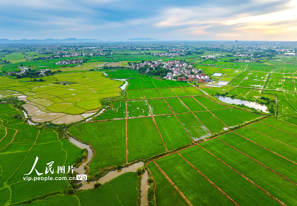 乡村振兴规划，从蓝图到实践，打造美丽宜居乡村之路
