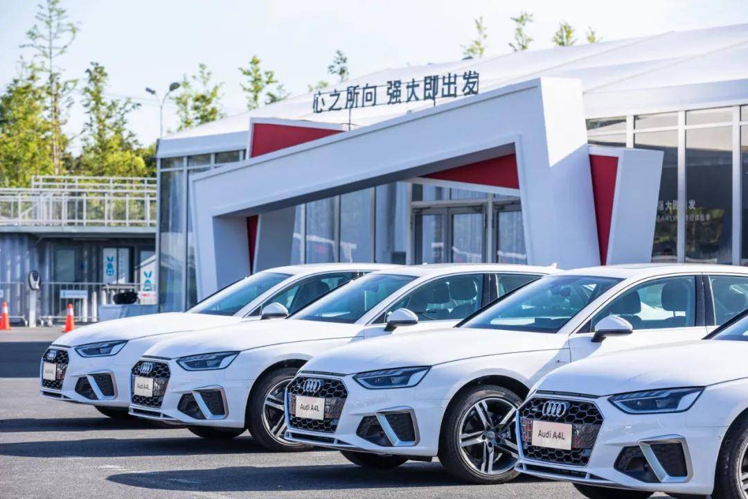 今日头条揭秘申洲公司最新动态，引领行业新风向！