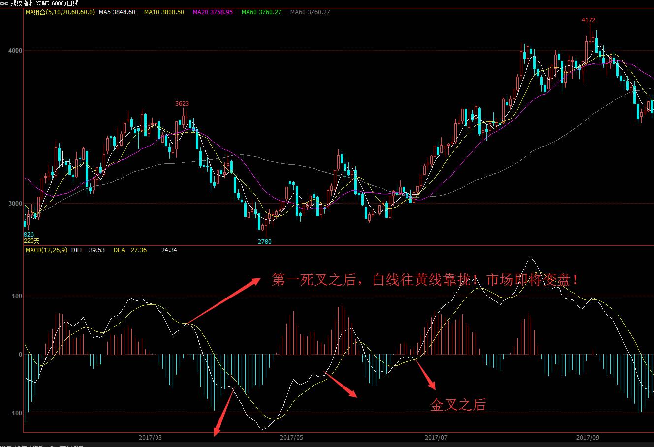 MACD最新报价与市场动态深度解析