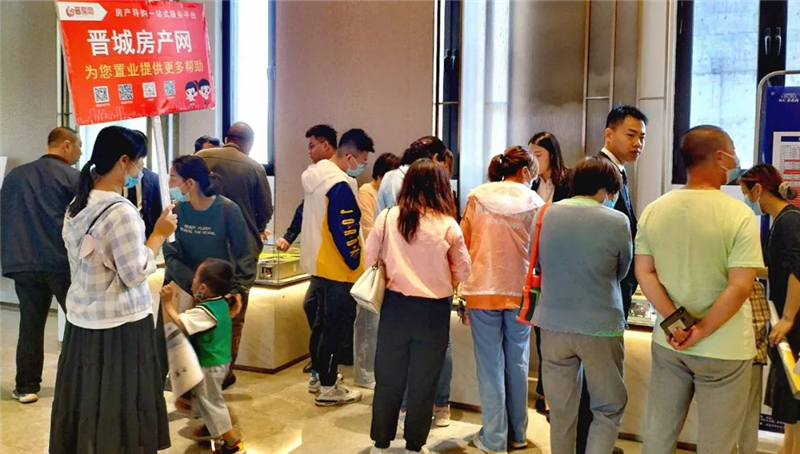 今日羊公糕市场行情及最新价格分析