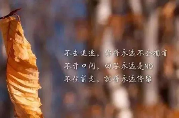 反派励志语录，逆袭之路，经典语句震撼心灵！