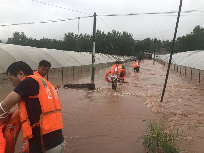 央视聚焦涿州汛情与抗洪救援，实时报道引发关注