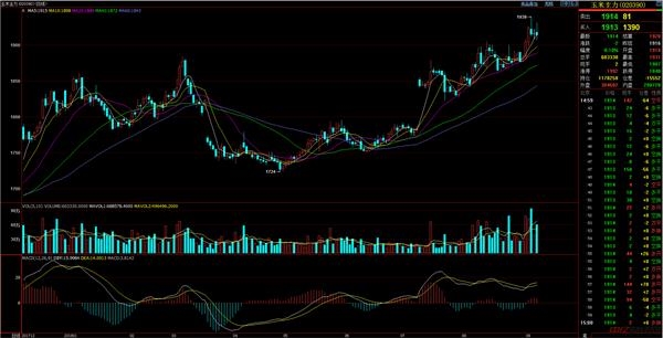 宜昌玉米今日行情走势分析，最新价格动态揭秘