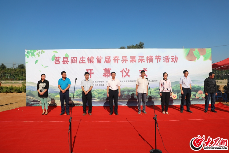 阎庄镇发展动态与社区新貌，新闻头条聚焦