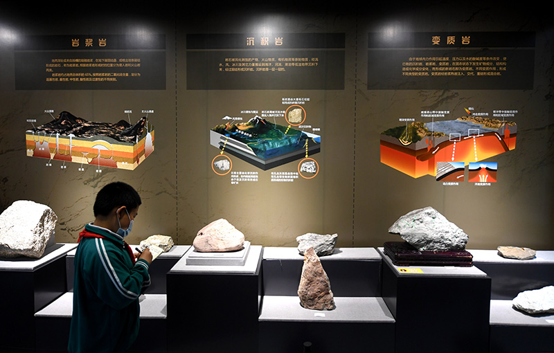 2025年3月 第133页