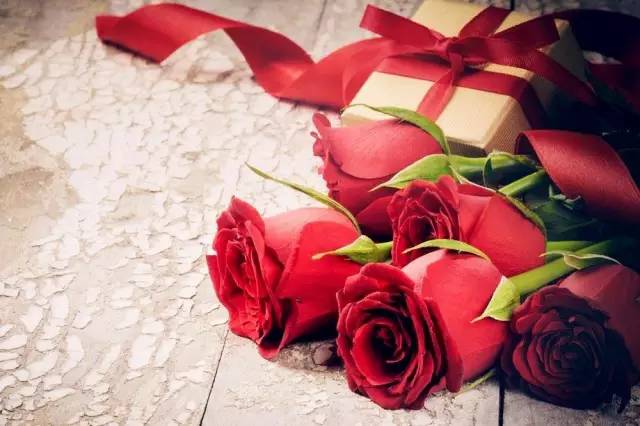 朝夕玫瑰独家揭秘，探寻浪漫与独特的极致交织之美