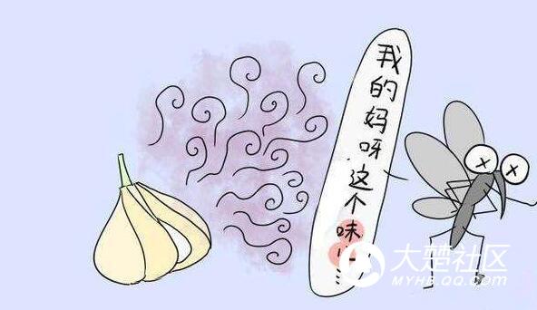 卡通驱蚊宣传，保护你我他，远离蚊虫侵扰，安心生活！