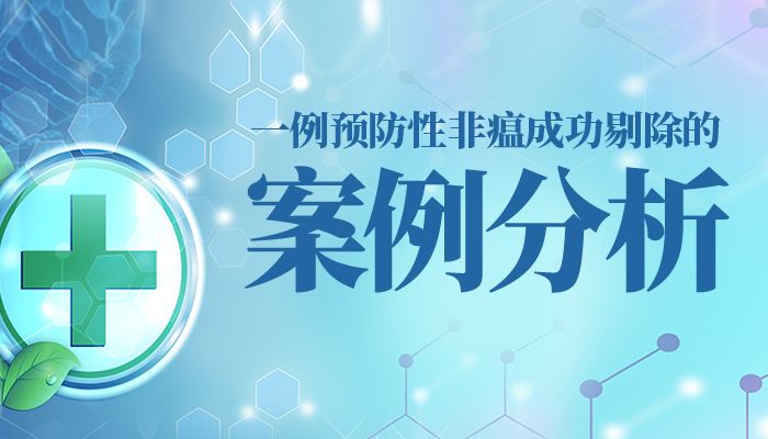 全力落实，构建成功的基石，揭秘关键要素的力量！