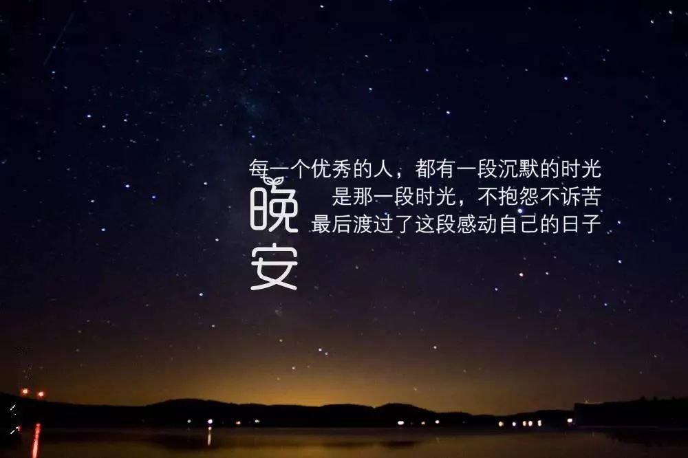 猫坚强语录励志壁纸，追逐梦想，坚韧不拔！