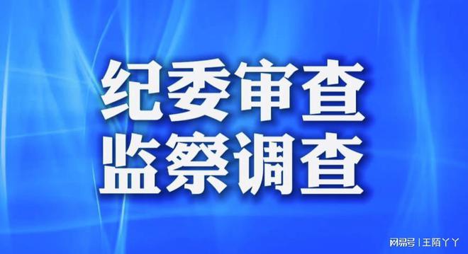推动社会进步的基石,基层力量大揭秘