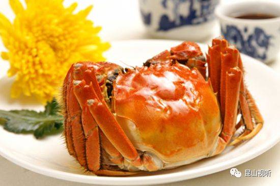 安居大闸蟹最新价格表概览