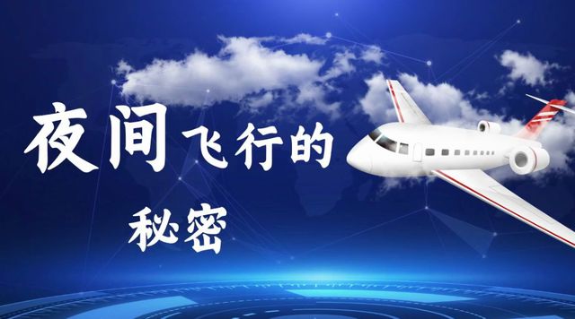 揭秘飞行奥秘，翅膀的悬停与拍动之力