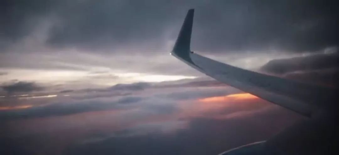 揭秘飞行奥秘,翅膀的悬停与拍动之力