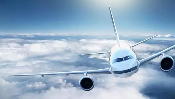 揭秘飞行奥秘,翅膀的悬停与拍动之力