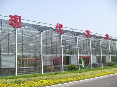 高效温室种植厂家的崛起之路与面临的挑战